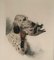 L. Riad, English Setter and Duck, 1920s, Colored Lithograph, Image 3