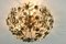 Lámpara de techo vintage en forma de flor de cristal tallado de Banci, años 50, Imagen 5