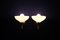 Sconces from Lumi, 1950s, Set of 2 2