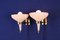 Sconces from Lumi, 1950s, Set of 2, Image 14