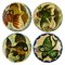 Spanish Ceramic Wall Plates with Fish Decor from Puigdemont, 1950s, Set of 4, Image 1