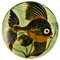 Spanish Ceramic Wall Plates with Fish Decor from Puigdemont, 1950s, Set of 4, Image 6