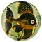 Spanish Ceramic Wall Plates with Fish Decor from Puigdemont, 1950s, Set of 4, Immagine 6