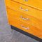 Tall Oak Apothecary Chest of Drawers, Germany, 1920s 2