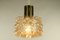 Vintage Amber Bubble Glass Pendant Lamp by Helena Tynell for Limburg, 1960s, Image 2