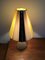 Mid-Century French Table Lamp, 1950s, Image 6