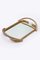 French Golden Calbe Tray with Mirror from Brass Milano, 1960s, Image 7