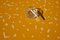 Tavolo da fumo di Clemens Lauer, Immagine 3