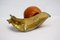 Italian Brass and Maple Snail Sculpture, 1950s 12