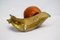 Italian Brass and Maple Snail Sculpture, 1950s, Image 12