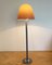 Mid-Century Koala Floor Lamp by Franco Bresciani, Italy, 1970s 8