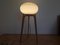 Large Mid-Century Floor Lamp from ÚLUV, 1970s 3