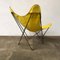 Yellow and Black Butterfly Chair by Jorge Ferrari-Hardoy, 1960s 3