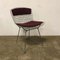 Wire Dining Chair by Harry Bertoia for Knoll Inc. / Knoll International, 1980s, Image 2