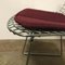 Wire Dining Chair by Harry Bertoia for Knoll Inc. / Knoll International, 1980s, Image 14