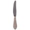 Antique Georg Jensen Continental Dinner Knife in Sterling Silver and Stainless Steel, Image 1