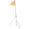 Space Age Giraffen Stehlampe von Josef Hurka, 1960er 1