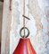 Industrial Ceiling Lamp by Sergio Mazza, Italy, 1960s 4