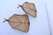 Mid-Century Mirrors with Lamp Holders, Set of 2, Image 12