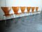 Teak 3107 Esszimmerstühle von Arne Jacobsen für Fritz Hansen, 1960er, 6er Set 3