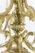 Kronleuchter im Stil der Rocaille im Stil vergoldeter Bronze, 1880er 5