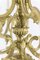 Rocaille Style Chandelier in Gilt Bronze, 1880s 5