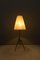 Lámparas de mesa de JT Kalmar, años 50. Juego de 2, Imagen 5