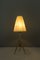 Table Lamps by J. T. Kalmar, 1950s, Set of 2 14