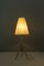 Table Lamps by J. T. Kalmar, 1950s, Set of 2, Image 14