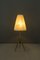 Lámparas de mesa de JT Kalmar, años 50. Juego de 2, Imagen 4