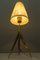 Lámparas de mesa de JT Kalmar, años 50. Juego de 2, Imagen 12