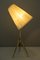Lámparas de mesa de JT Kalmar, años 50. Juego de 2, Imagen 10