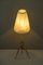 Lámparas de mesa de JT Kalmar, años 50. Juego de 2, Imagen 9