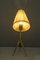Lámparas de mesa de JT Kalmar, años 50. Juego de 2, Imagen 8