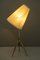 Lámparas de mesa de JT Kalmar, años 50. Juego de 2, Imagen 11