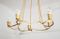 Austrian Large Mid-Century Chandelier 23