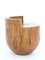 Unique Tambor Stool in Pequi Hardwood by Hugo França, Brazil 2