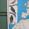 Mapa escolar de pájaros de Verlag Jaeger Darmstadt, años 50, Imagen 6