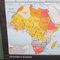 Mappa scolastica dell'Africa di Leisering & Schulze per Velhagen & Klasing, anni '50, Immagine 8