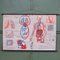 School Wall Map of the Human Body by Prof. Dr. med. W. Blotevogel for Hagemann Düsseldorf, 1950s 1