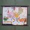 School Wall Map of Europe from Velhagen & Klasing, 1950s 1