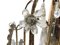 Antique French Ceiling Lamp, 1800s, Image 11