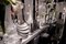 Vaso Shar Pei in ceramica grigia di VGnewtrend, Immagine 4