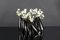 Rice Flower Vase in Black Ceramic from VGnewtrend, Image 6