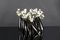 Rice Flower Vase in Black Ceramic from VGnewtrend, Immagine 6