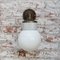 Vintage Industrial White Porcelain, Brass, and Opaline Glass Sconce 8