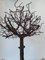 Anonymous, Brutalist Tree Sculpture, 1980s, Iron 4