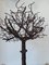 Anonymous, Brutalist Tree Sculpture, 1980s, Iron, Image 4