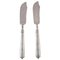 Danish Fish Knives in Silver 830 with Flower Chisels, 1918, Set of 2, Image 1