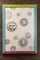 Soli e Lune Series Cotton Panels by Atelier Fornasetti, Set of 2, Image 7